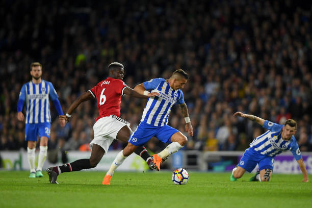 瓦妮莎此前 瓦妮莎此前