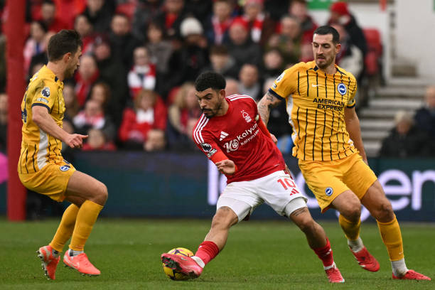 在多方參與 在多方參與